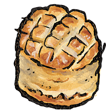 Dill Pogacsa illustration
