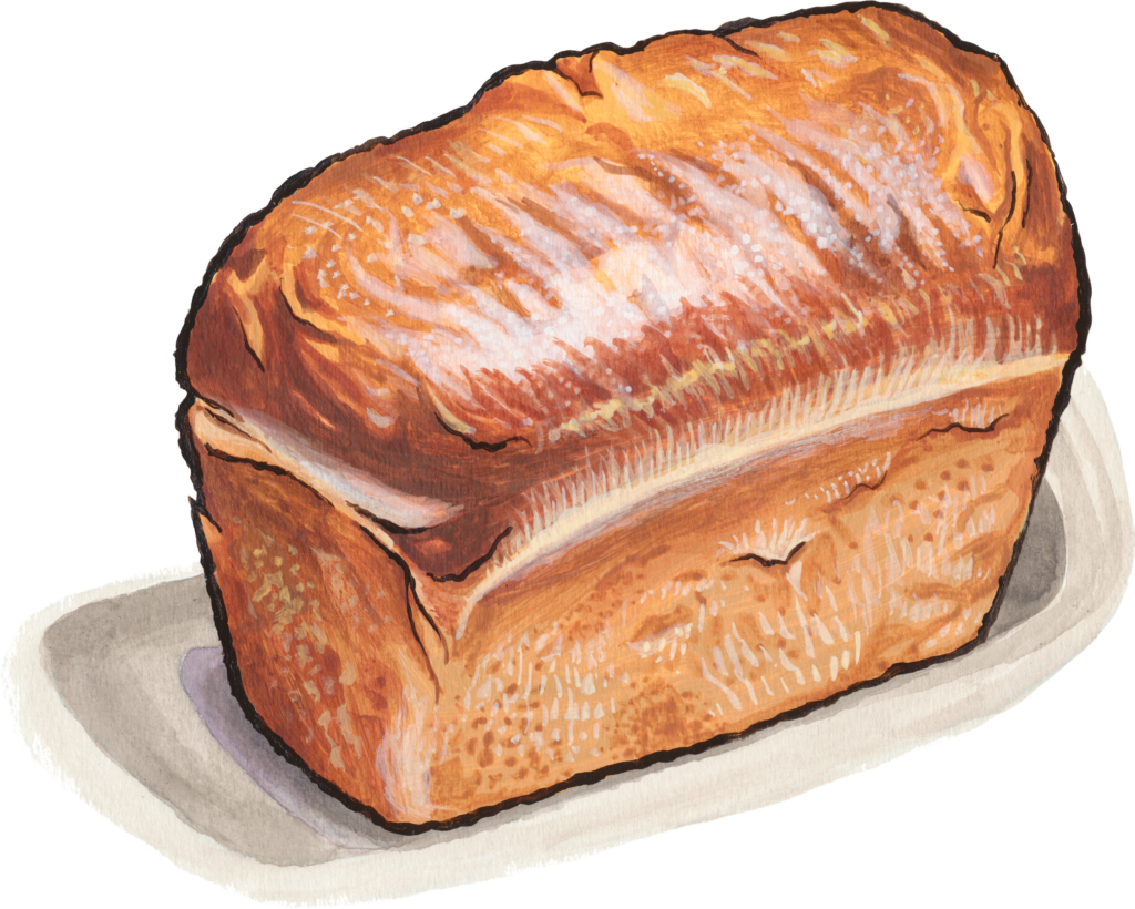 Bakehouse White bread illustration
