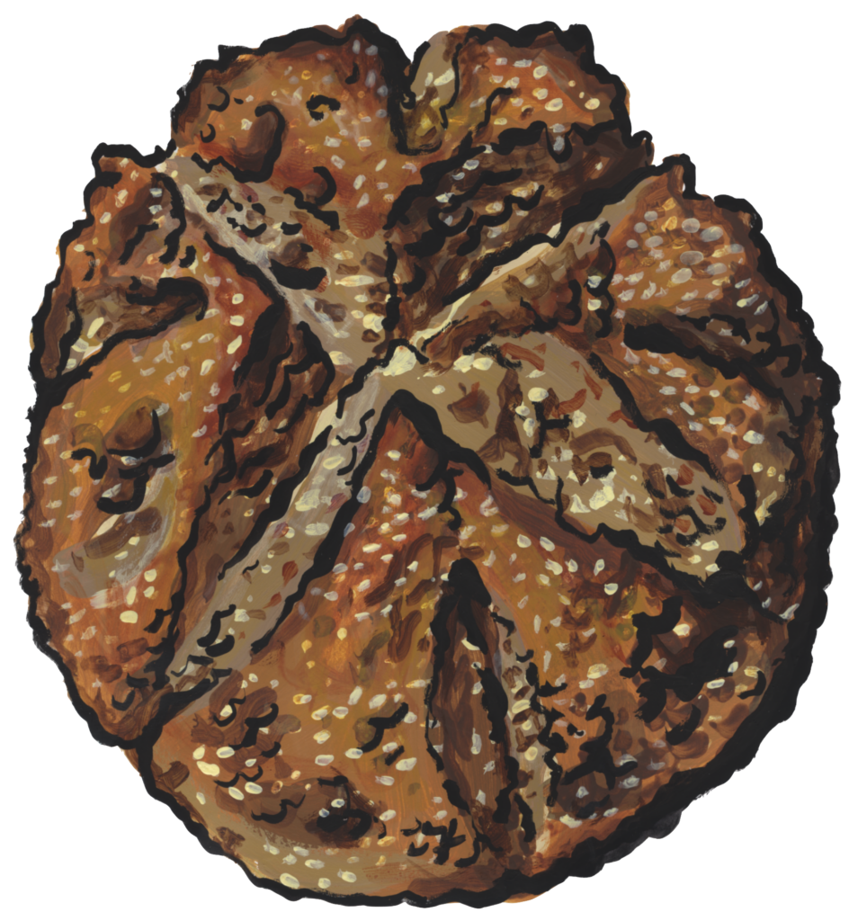 Irish Soda Bread illustration