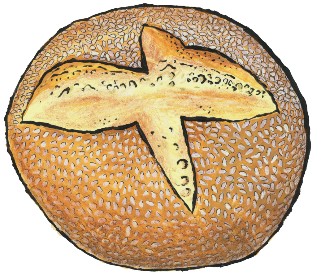 sesame semolina round illustration