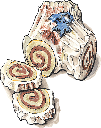White Chocolate Buche de Noel cake illustration