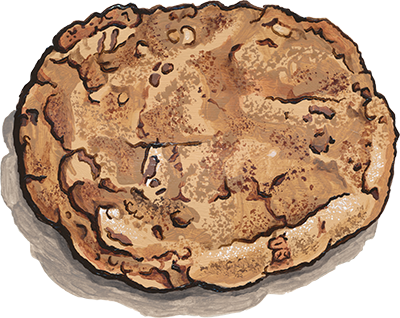 oat-rageous funky chunky cookie illustration