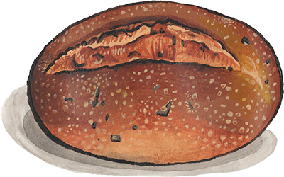 roasted garlic rustic italian illustration